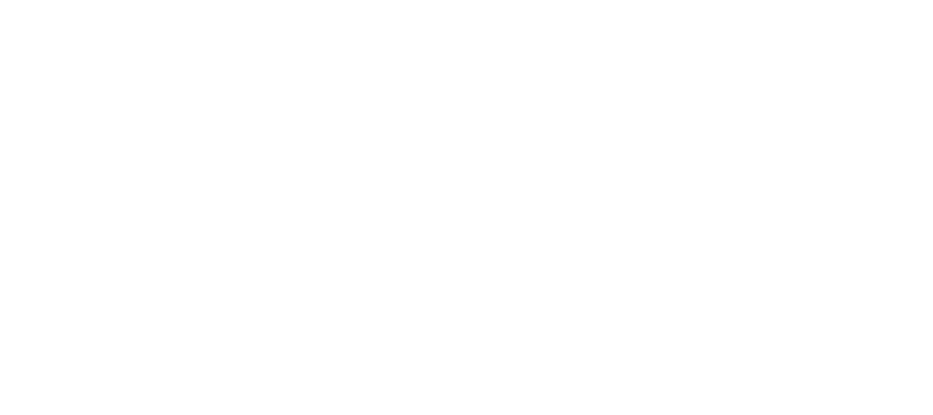 Lider Çelik
